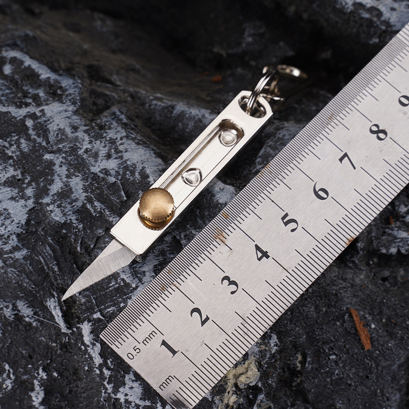 Mini couteau en acier inoxydab - Edc Carry Pocket Knife avis et prix